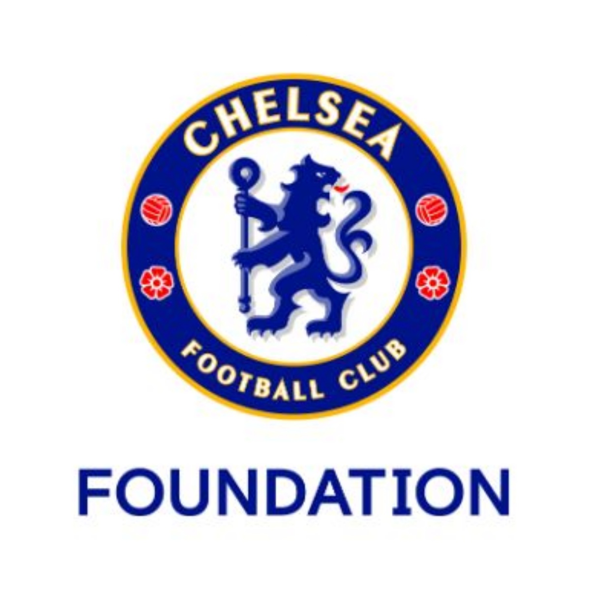 Carshalton Boys Sports College Chelsea Football Club Foundation Trials