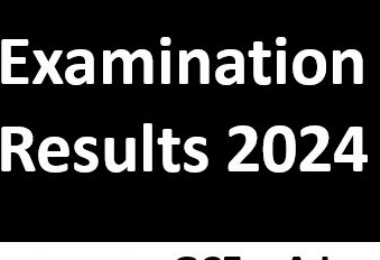 GCSE Results Collection 2024